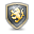 Shield Major Icon